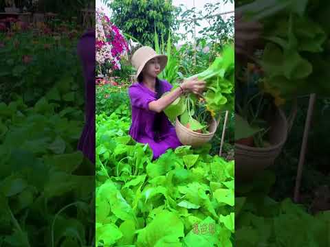 Enjoy beautiful nature with rural life 381 # MP Fresh #fruit #countrylife #farming #freshvegetables