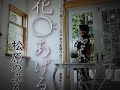《新曲》花〇あげる 松原のぶえ 5/19日発売 Cover🎤ai