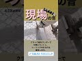 【足立区の外壁屋根専門店】現場の音〜Uカット編〜#現場の音 #タムラ塗装 #外壁塗装 #屋根塗装 #屋根カバー #防水 #雨漏り#足立区 #荒川区 #自社施工 #地域密着
