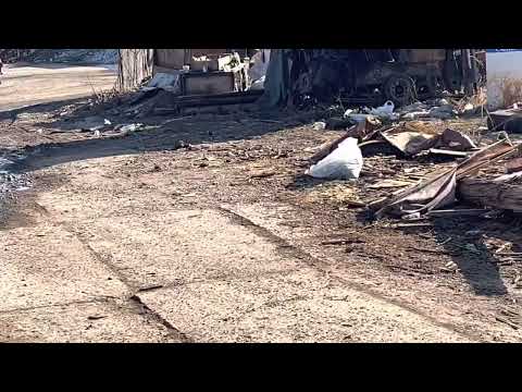 Двигатель в501м