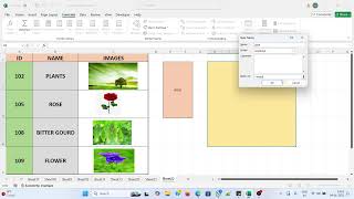 Image lookup with data validation code #exceltips #vlookup #advancevlookup #vlookup #exceltips