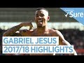 GABRIEL JESUS | GOALS, SKILLS AND MORE | Best of 2017/18