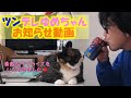 ツンデレゆめちゃん お知らせ動画【#捨て猫#子猫保護#成長記録#野良猫】