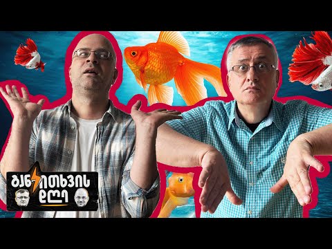 ახლა პოლიტიკასაც მივხედოთ - განკითხვის დღე!