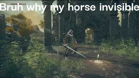 Major bugs I experience in Elden Ring