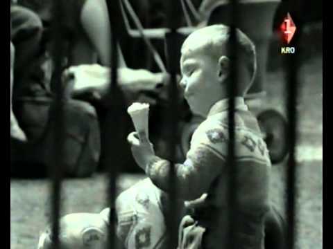 Bert Haanstra - Zoo (Artis), volledige film