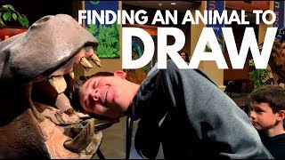 Finding An Animal To Draw