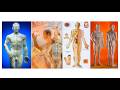 NINE NEEDLES OF CLASSICAL ACUPUNCTURE TOP QUESTIONS