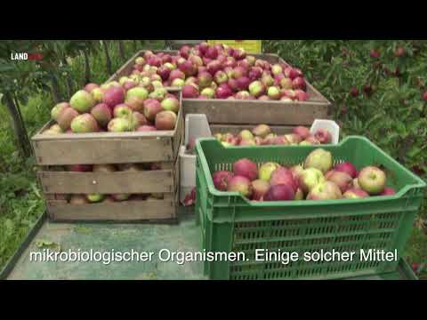 Neuartige Pflanzenbehandlung im