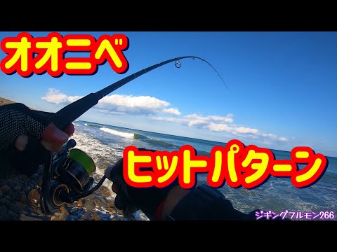 また来たオオニベ☆ヒットパターン考察 ライトショアジギングで