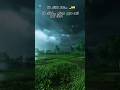 29th ramzan #lailatulqadar #love for ramzan #love for islam #alvida mah e ramzan #islamic videos