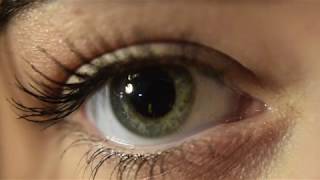 INCUBUS - A2 TEASER (FINAL)