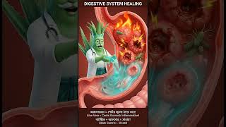 #food#Health tips #food talking #automation #ai #chatgpt #data #digital