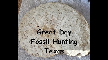 Texas Fossils, Fossils and more Fossils 2