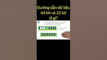 Đường dẫn dữ liệu 64 bit và 32 bit là gì? | Tri thức nhân loại