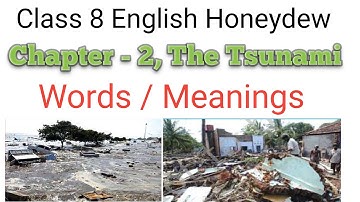 The Tsunami word meaning || Class 8 English reader chapter 2 word meaning