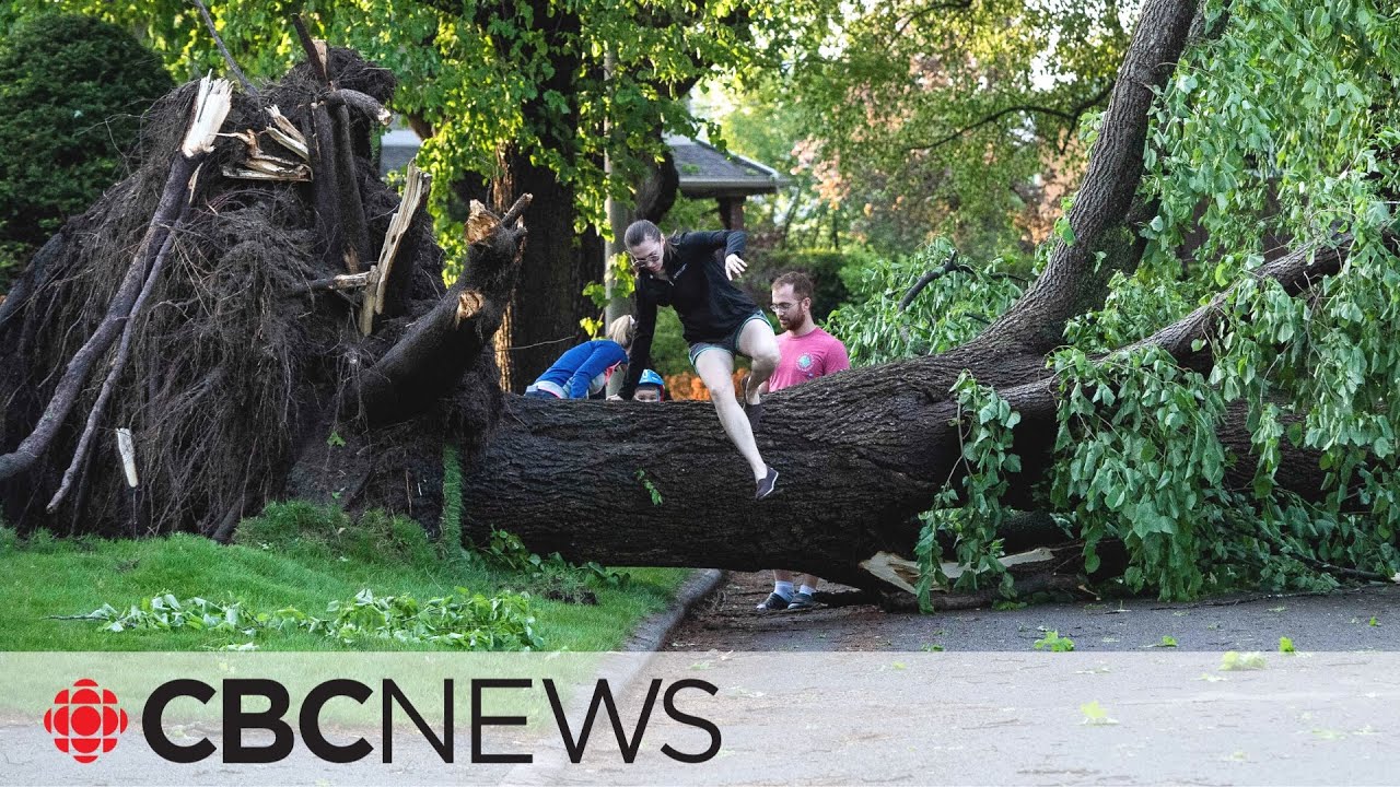 Deadly Storm In Ontario, Quebec Causes Widespread Power Outages, Extensive Damage