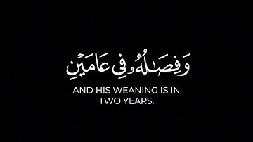 ووصينا الإنسان بوالديه | كرومات قرآن عبدالرزاق بدر شاشة سوداء سورة لقمان خلفية سوداء تلاوة نادرة