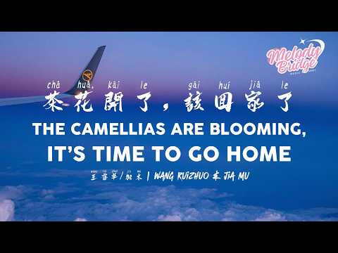 王睿卓/加木 - 茶花開了，該回家了 | The Camellias Are Blooming, It’s Time to Go Home【動態歌詞/English Subs/Pinyin】