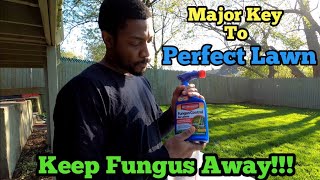 How To Prevent Lawn Fungus In under 10 minutes