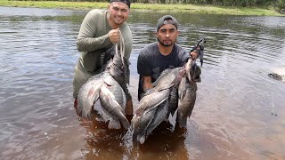 Pesca Y Cocina De Tilapia 2022