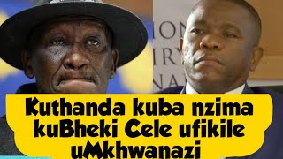 Mkhwanazi usola uCele ngokuvikela Izigebengu eKzn