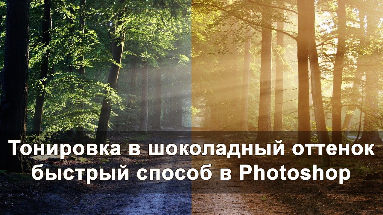 Тонирование в шоколадный оттенок, быстрый способ в Adobe Photoshop ...