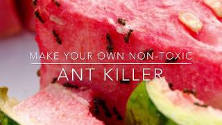 Make Your Own Non Toxic Ant Killer