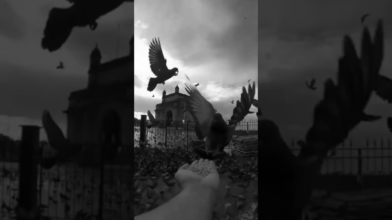 My showreel 2023
