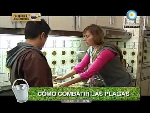 Preview de Cómo combatir plagas (capítulo 6)