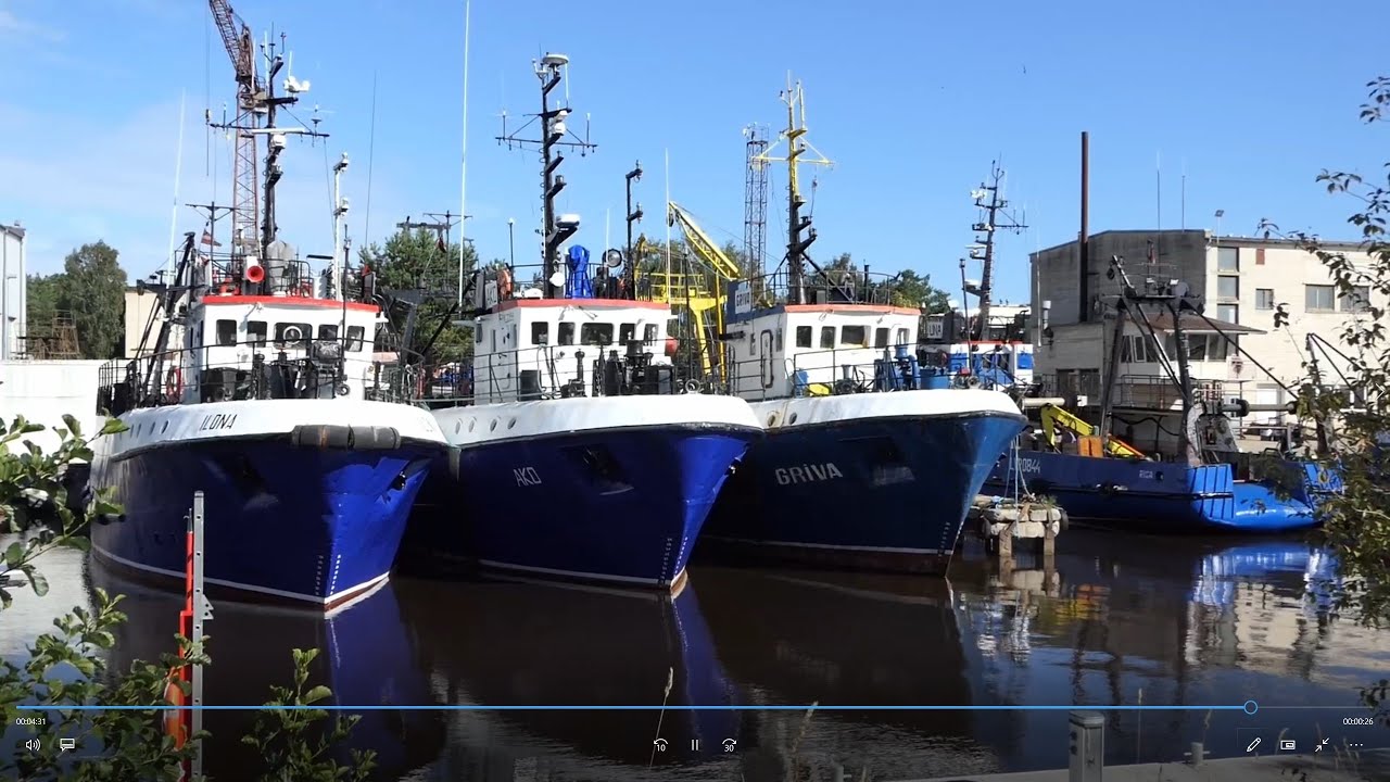 Kurzemes līča krasts