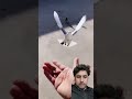 #hijab #love #foryou #tiktok #youtubeshorts #youtube #facebook #facfs #reels #reel #reelsinstagram