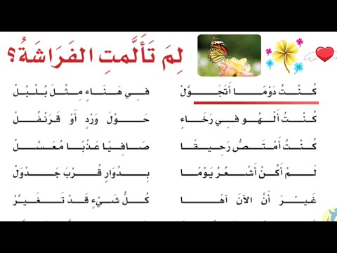 لم تألمت الفراشة كنت دوما أتجول في هناء مثل بلبل النص الشعري لم تألمت الفراشة العام الدراسي ١٤٤٧هـ