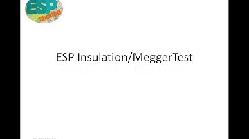 ESP Sharing, ESP Insulation/Megger Test