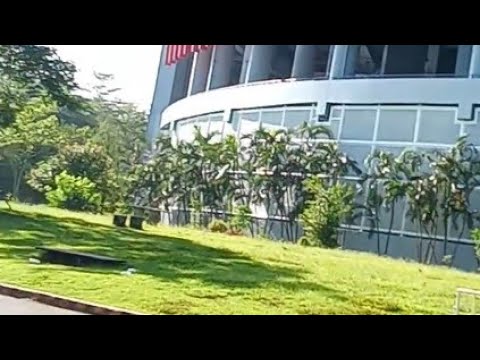 Jogging daw...pero lakad lang kami😁