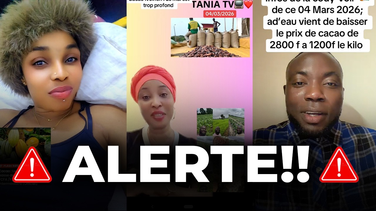🚨[ALERTE] CACAO CÔTE D'IVOIRE, LE PRIX VIENS VIEN D'ÊTRE DIMINUÉ