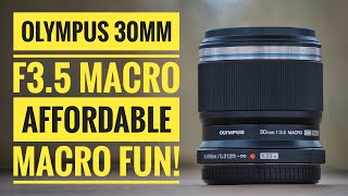 Olympus 30mm f3.5 Macro A Macro Lens That Should Be In Everyone's Kit.