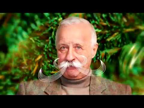 Новогодние заставки с ведущими Первый канал 12 2017 01 2018 