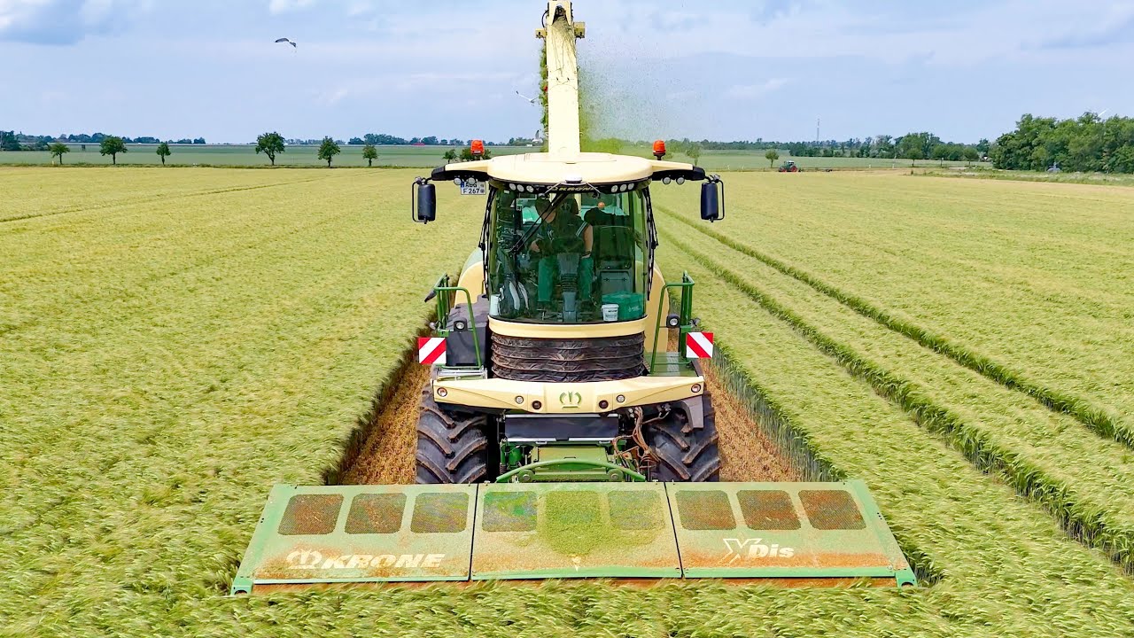 KRONE BIG X 1180 bei der  Wintergerste GPS Ernte 2025