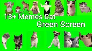 Cat Memes Green Screen Crezy Cat Memes