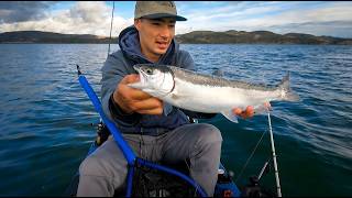 Success! Trout And Salmon Strategies Unlocked - And More!