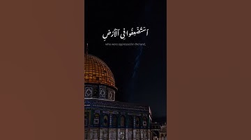 يارب 🤲🏻🤎 ونريد أن نمن على الذين استضعفوا في الأرض | القارئ محمد المنشاوي