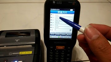 Sewoo LK-P30II Bluetooth mobile printer test