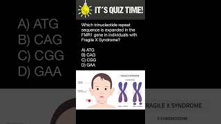 Which trinucleotide repeat sequence is expanded in the FMR1 gene in people with Fragile X Syndrome?