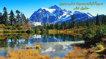 سورة البقره بصوت عذب بدون حقوق نشر