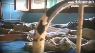 Эбола - документальный фильм. Самый страшный вирус! Эбола - документальный фильм. Самый страшный вирус!