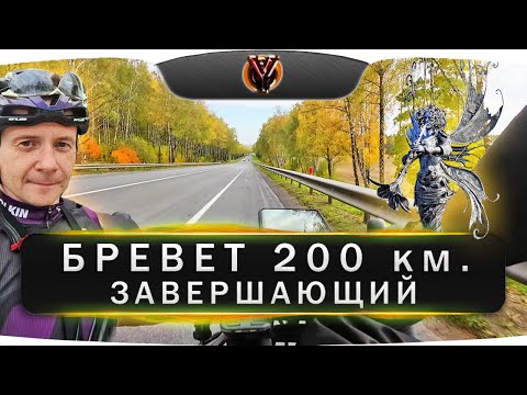 Видео: Бревет 200 км 