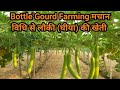 Bottle Gourd Farming मचान विधि से लौकी (घीया) की खेती Louki ki kheti