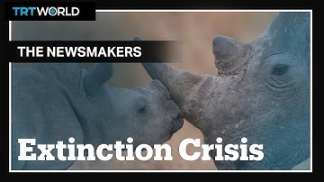 Can we stop the sixth mass extinction?