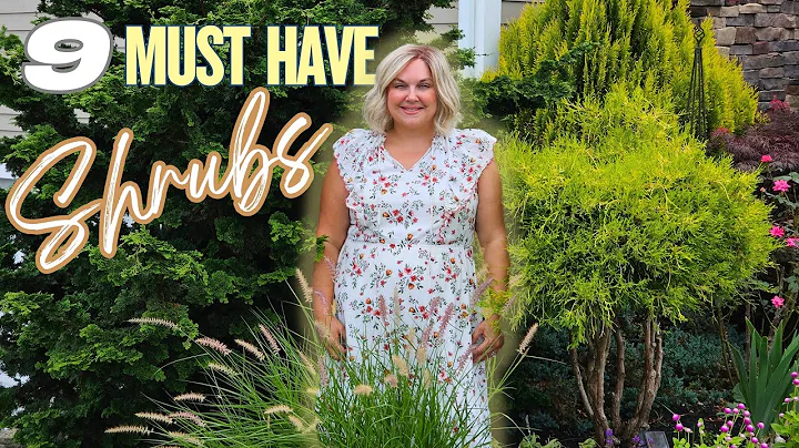 My 9 Must-Have Shrubs: Add Structure and Color to Your Garden All Year Round!